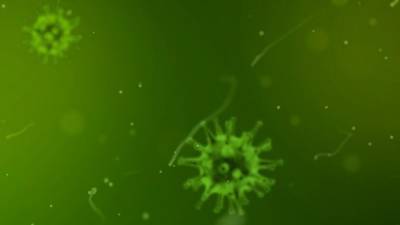 НИИ гриппа заявил об отсутствии новых штаммов коронавируса в России