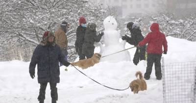Прогноз погоды на 1 февраля: в Украине похолодает, будут снегопады и ливни