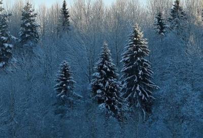 Губернатор Ленобласти показал красоту зимы в Подпорожском районе