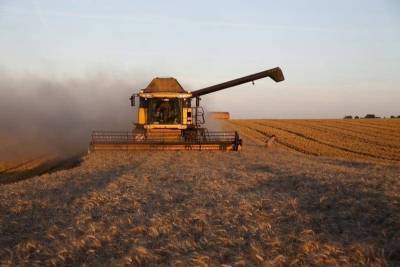 Аналитики повысили прогноз экспорта пшеницы из РФ в текущем сельхозгоду