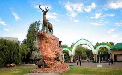 Ташкентский зоопарк меняет концепцию. Тиры уберут, точки общепита приведут в порядок, аттракционы перенесут в дальний конец