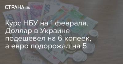 Курс НБУ на 1 февраля. Доллар в Украине подешевел на 6 копеек, а евро подорожал на 5