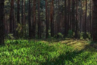 В Тверской области утверждены границы еще 10 особо охраняемых природных территорий