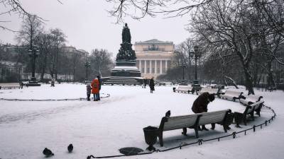 Синоптик сообщил о наступлении «скандинавской» зимы в Петербурге