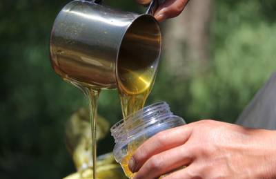 Гигиенические нормы для переработчиков меда в Украине изменят