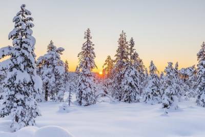 На 3 градуса холоднее привычного будет в Псковской области к концу недели