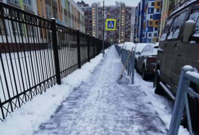 С улиц Заневского поселения за неделю вывезли 530 «кубов» снега
