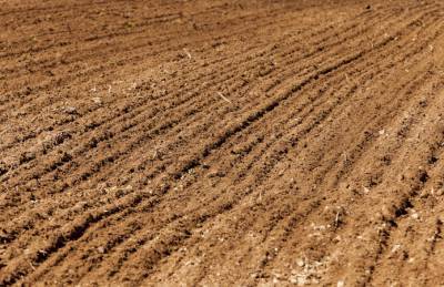 Мнение: Исследование почвы избавит от рисков и сэкономит средства