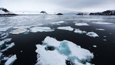 У Сахалина 100 рыбаков унесло на льдине в море