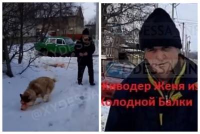 Жители Одесской области поймали и устроили самосуд над живодером: кадры наказания