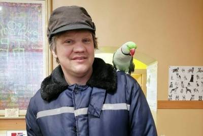 Из ветклиники в Рязани улетел говорящий попугай