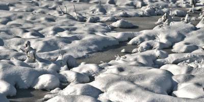 Украину ждут температурные качели: синоптик прогнозирует потепление и новые морозы до конца недели