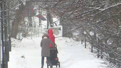 В Центральную Россию после оттепели возвращаются морозы