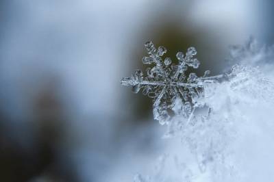 Снегопады ненадолго отступят: синоптик рассказала о погоде в Украине 2 февраля