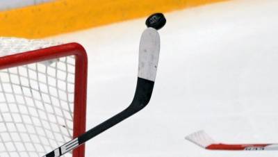 Канадский хоккеист украл клюшку у Ковальчука