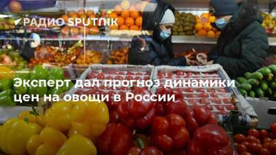 Эксперт дал прогноз динамики цен на овощи в России
