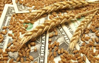 На экспорт ушло 13 млн т украинской пшеницы