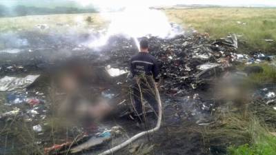 Нидерланды получили ответ от "Алмаз-Антея" по делу о крушении MH17