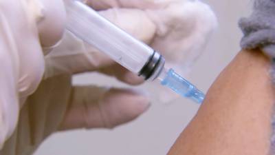 Пушилин: в ДНР официально начата вакцинация "Спутником V"