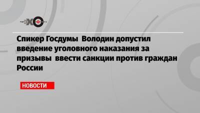 Спикер Госдумы Володин допустил введение уголовного наказания за призывы ввести санкции против граждан России