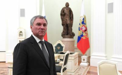 Володин допустил введение уголовной ответственности за призывы к санкциям против россиян