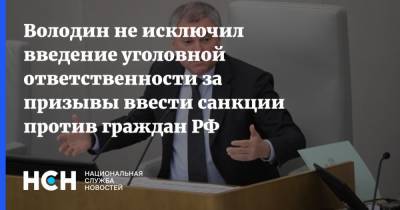 Володин не исключил введение уголовной ответственности за призывы ввести санкции против граждан РФ