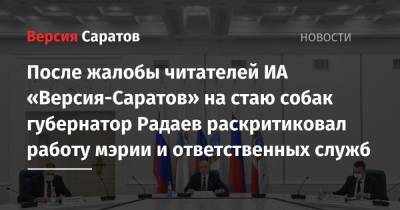 После жалобы читателей ИА «Версия-Саратов» на стаю собак губернатор Радаев раскритиковал работу мэрии и ответственных служб