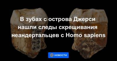 В зубах с острова Джерси нашли следы скрещивания неандертальцев с Homo sapiens