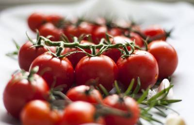 Эксперт: Украинским производителям томатов приходится «догонять» импорт