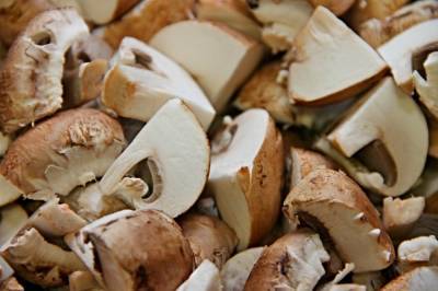 Нашли весомые преимущества употребления грибов: почему они полезны и сколько их надо есть