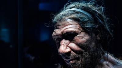 В Джерси нашли останки «гибрида» человека и неандертальца