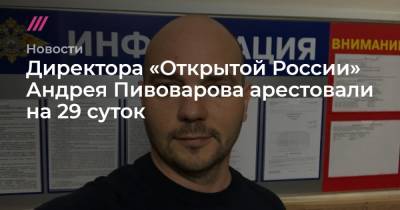 Директора «Открытой России» Андрея Пивоварова арестовали на 29 суток