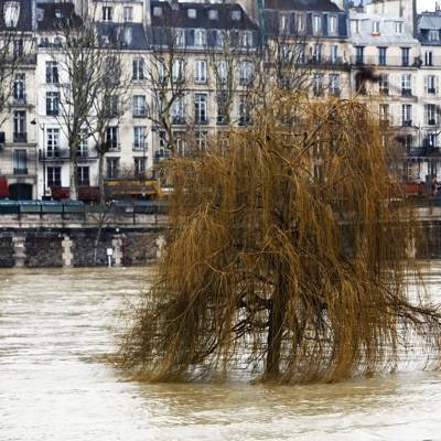 Вода в Сене сильно поднялась, в Париже закрыли ряд набережных