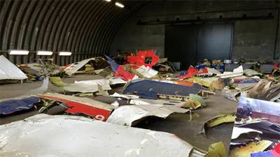 Суд по MH17: адвокаты обвиняемого хотят осмотреть все обломки самолета