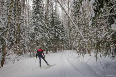 Кабмин Литвы разрешил открыть лыжные центры