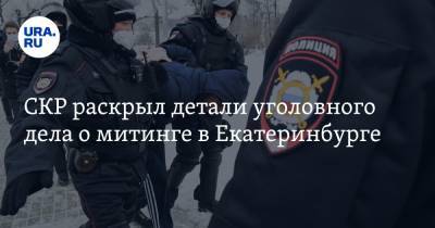 СКР раскрыл детали уголовного дела о митинге в Екатеринбурге