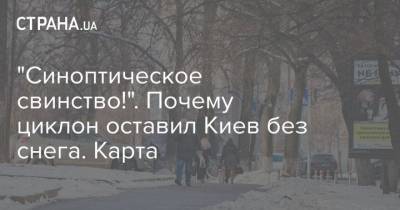 "Синоптическое свинство!". Почему циклон оставил Киев без снега. Карта