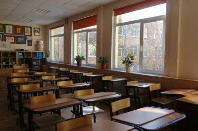 В школе Кропивницкого произошло массовое отравление: Детей перевели на дистанционное обучение