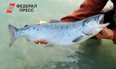 В России дорожает мороженая рыба