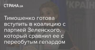 Тимошенко готова вступить в коалицию с партией Зеленского, который сравнил ее с переобутым гепардом