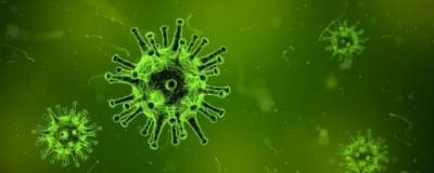 Ученые выяснили, как коронавирус SARS-CoV-2 скрывается от иммунитета