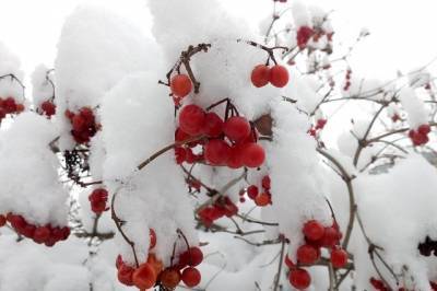 Погода в Хабаровском крае и ЕАО на 10 февраля