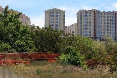 В Севастополе спасли от вырубки остатки рощи фисташек: Почему это...