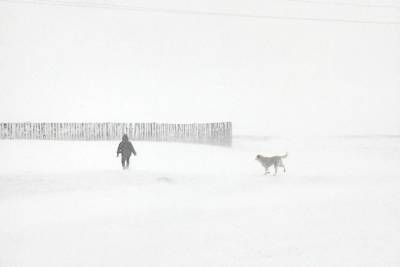 Гидрометцентр предупредил о снеге и метели 11 и 12 февраля в Забайкалье