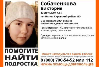 В Кировском районе Ленобласти пропала 13-летняя девочка