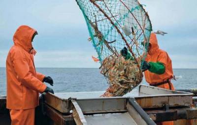 Владелец крупного пакета акций рыбного порта в Приморье может стать банкротом nbsp