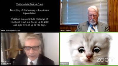 Техасский адвокат появился на судебном онлайн-заседании в образе кота