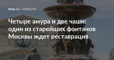 Четыре амура и две чаши: один из старейших фонтанов Москвы ждет реставрация