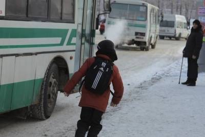 Ярославских школьников не будут высаживать из общественного транспорта на мороз