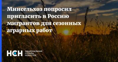 Минсельхоз попросил пригласить в Россию мигрантов для сезонных аграрных работ